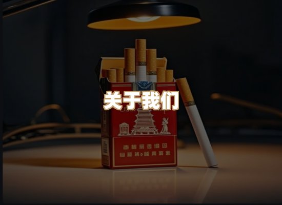 关于极竹梦烟网